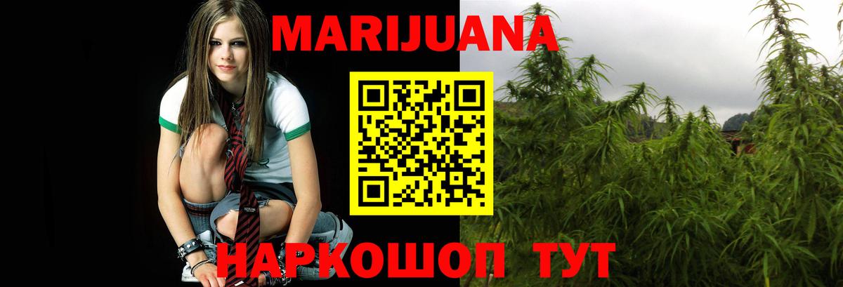 Каннабис индика Новодвинск